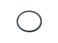 Ersatz O-Ring f�r Pumpengeh�use ASTRO 2000/3000 und ATLAS 2000/AT2000F/AT1200F